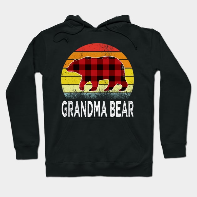 grandma bear grandma Hoodie by Bagshaw Gravity